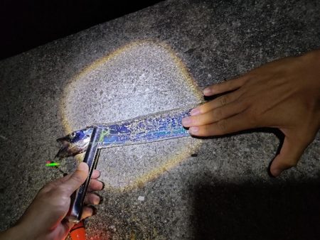 風予報とは裏腹に…