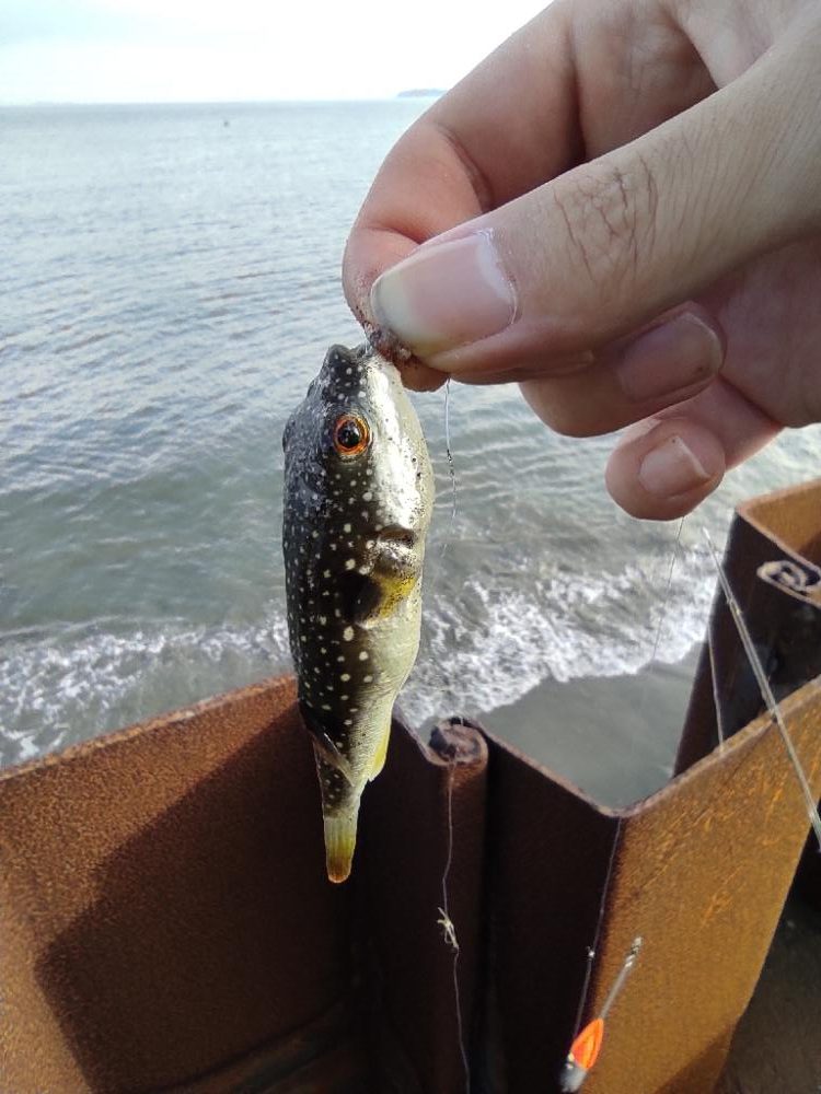 野比海岸で投釣り