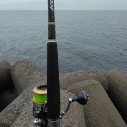 やっぱりタチウオ最高