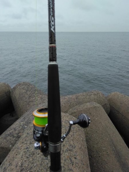 やっぱりタチウオ最高