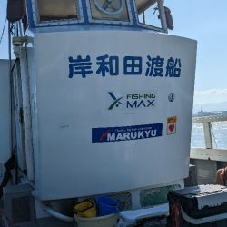 岸和田一文字で初メジロようやくゲット