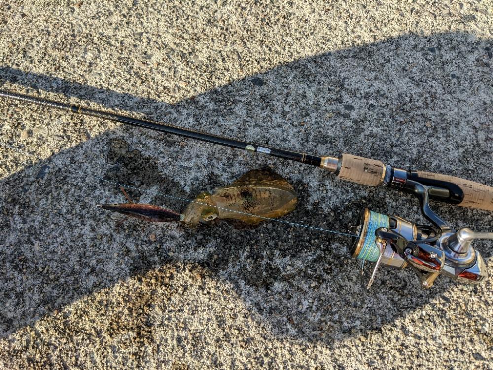 ウネリ爆風ババ濁りで9杯