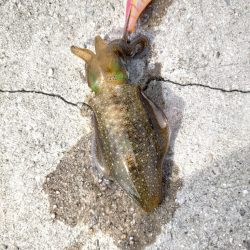 濁りが心配でしたがなんとか8杯