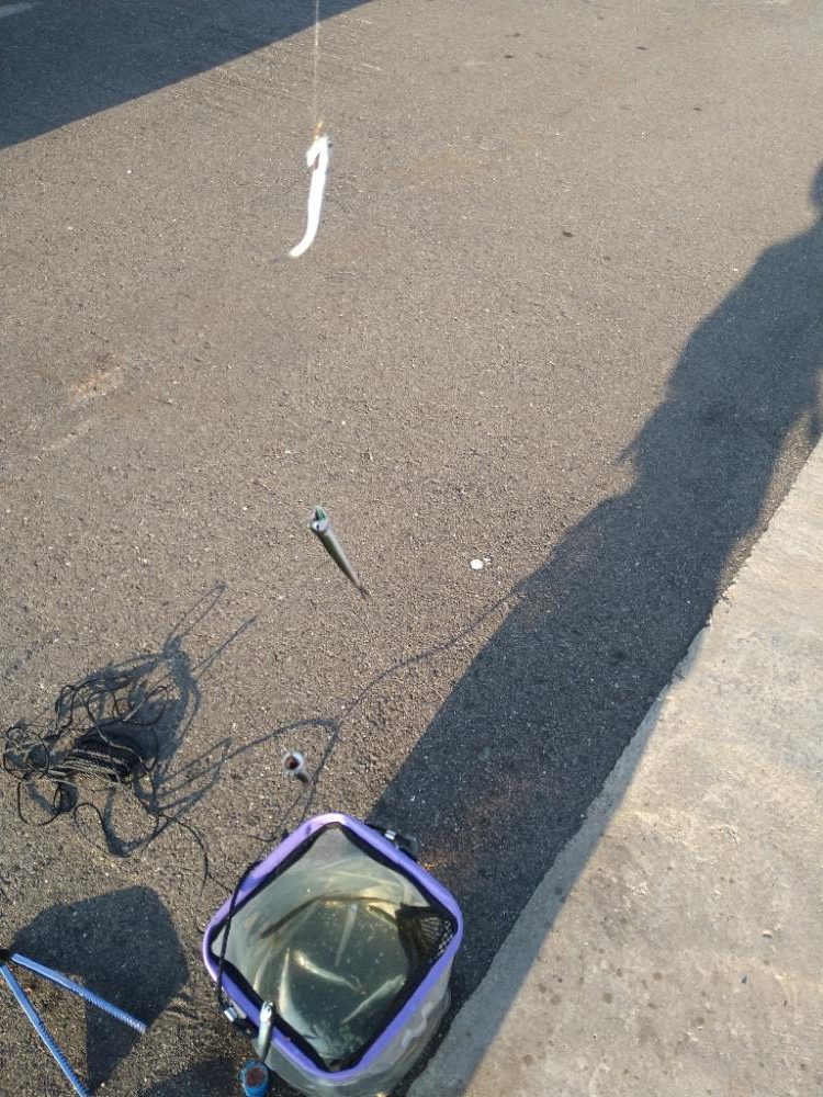 ファミリーフィッシング