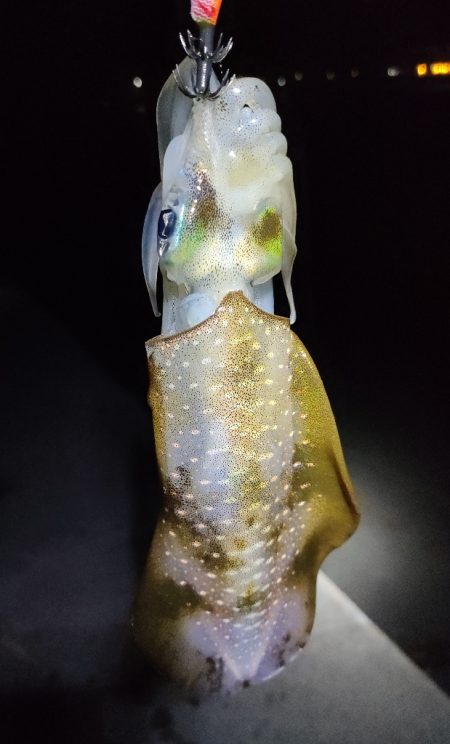 台風から逃げて福井遠征