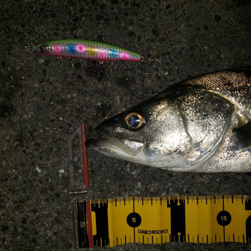 おはようスズキさん!