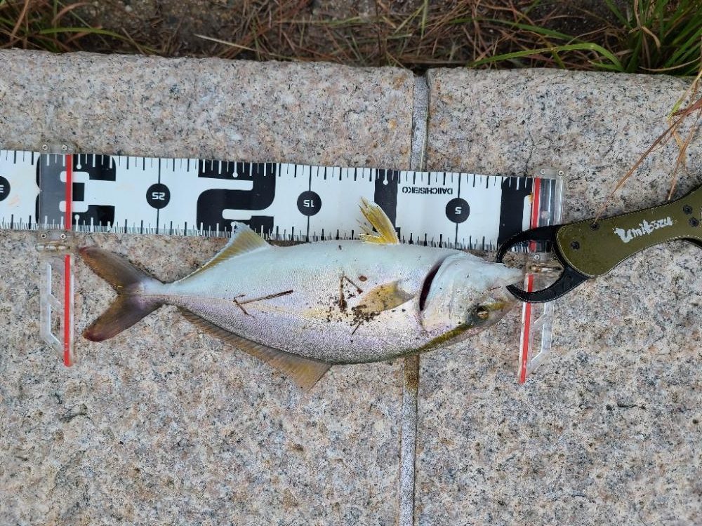 直撃前の直撃！