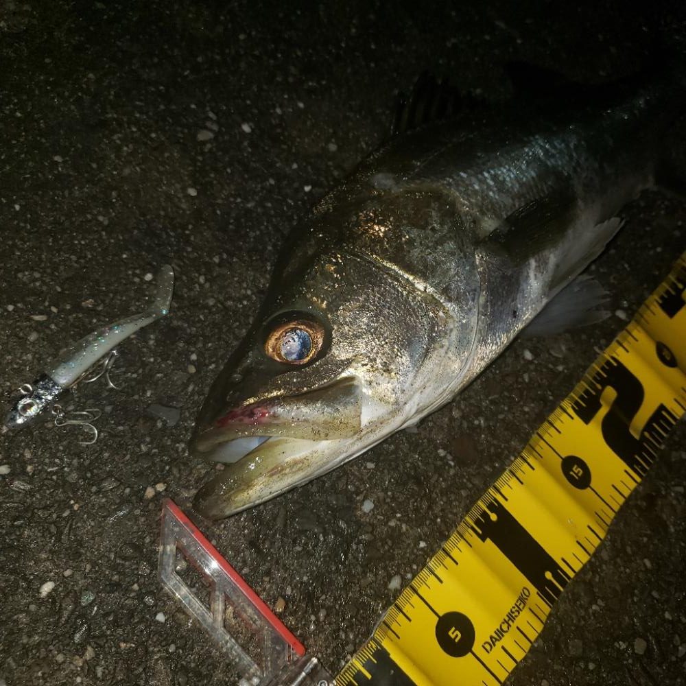 スズキさん　おはよう！