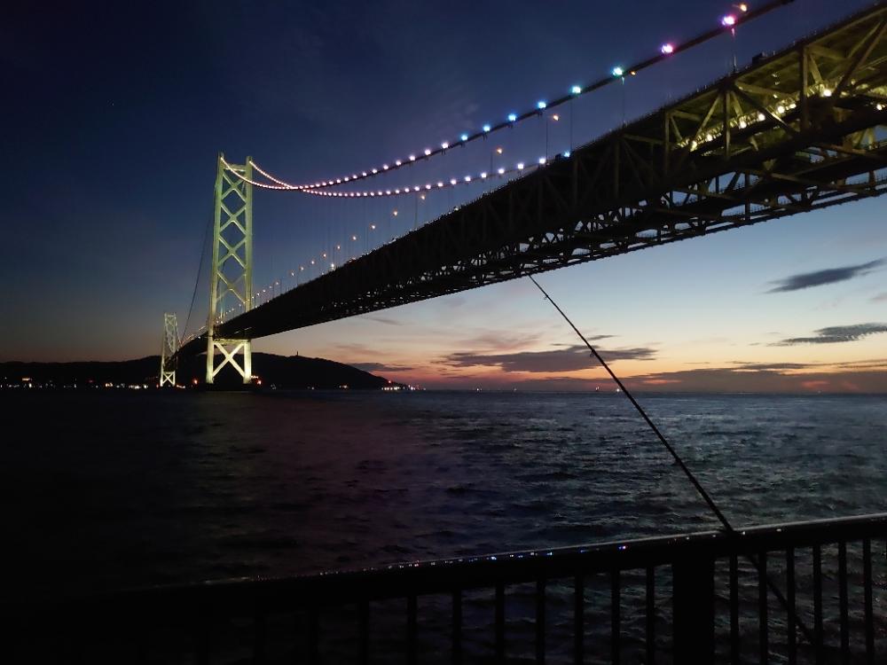 ノマセ釣り青物狙い