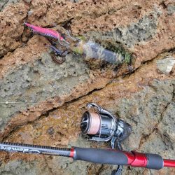 ちょっとエギング