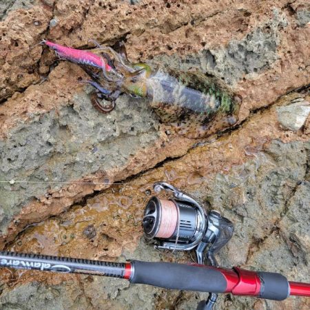 ちょっとエギング