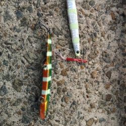 ショアジギング