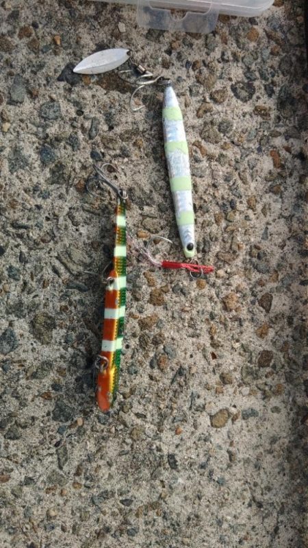 ショアジギング