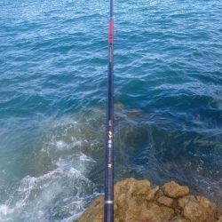 まだまだ夏の磯