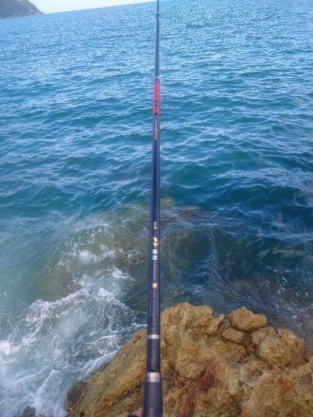 まだまだ夏の磯