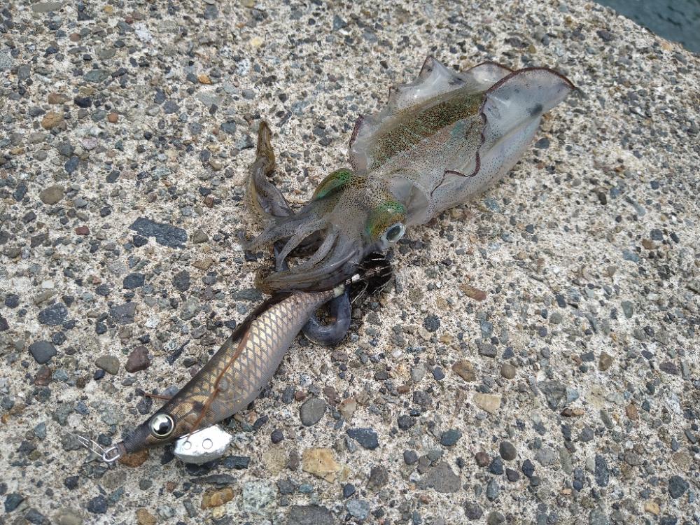 強風の風裏は無風です