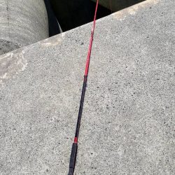 和歌山 御坊の堤防でウツボ釣り