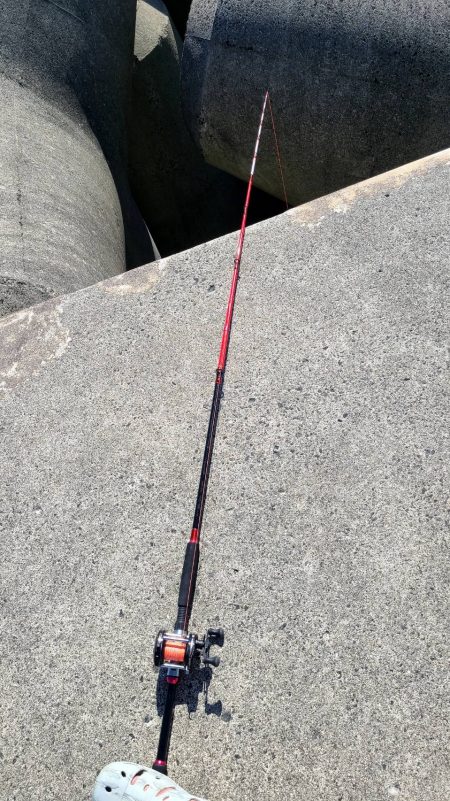 和歌山 御坊の堤防でウツボ釣り