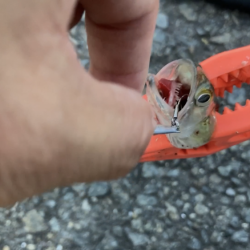 ウルトラライトジギング