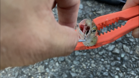 ウルトラライトジギング