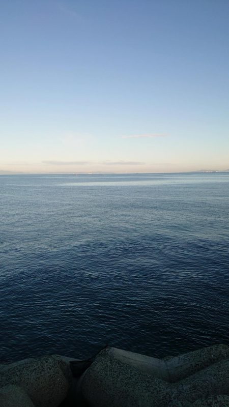 やっと青物釣れ始めました