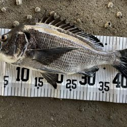 イチノ兄弟、釣果!