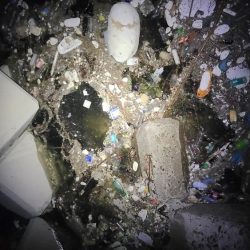 タチウオ開幕！