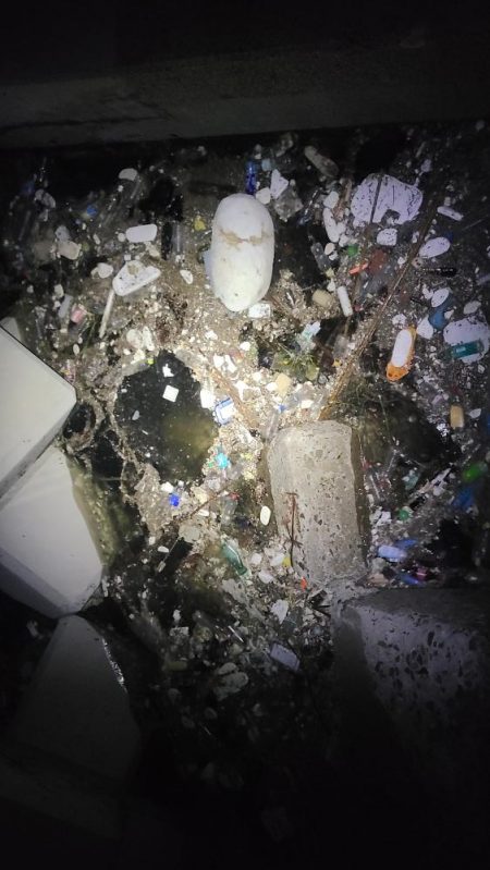 タチウオ開幕！