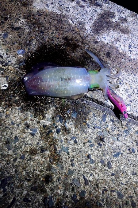 楽しめた日曜日