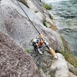 台風後を期待して