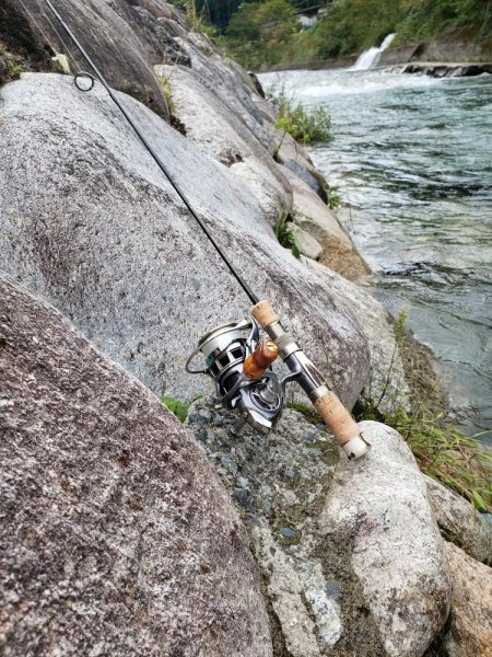 台風後を期待して