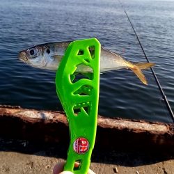 秋 まだ暑いけど(笑)