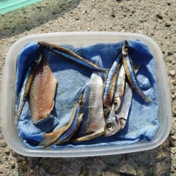 悔しいを誤魔化す