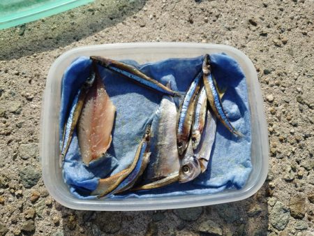 悔しいを誤魔化す