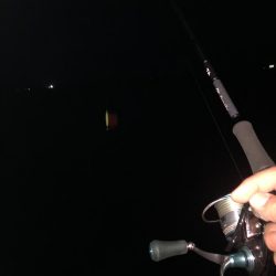 サーフエギング