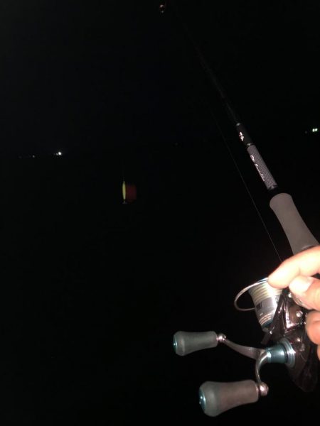 サーフエギング