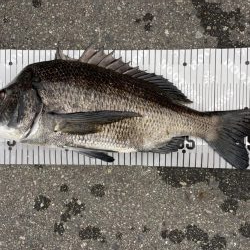 イチノ兄弟、釣果！