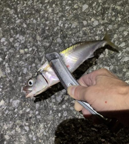 サバゲー時々豆アジング