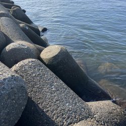 おるのは確か？