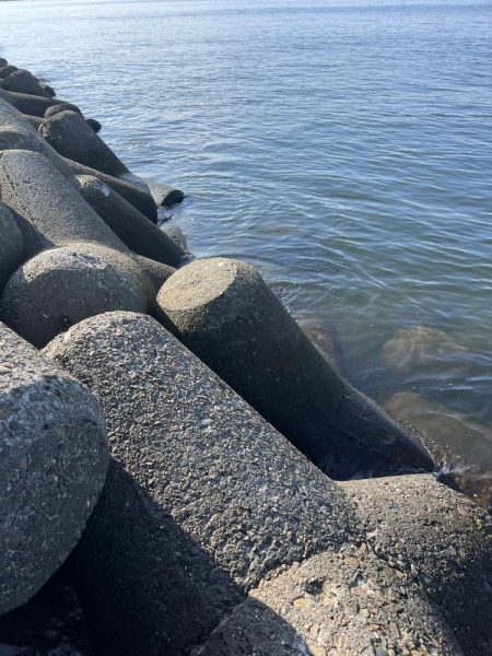 おるのは確か？