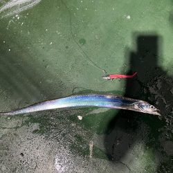 自作ルアーで太刀魚