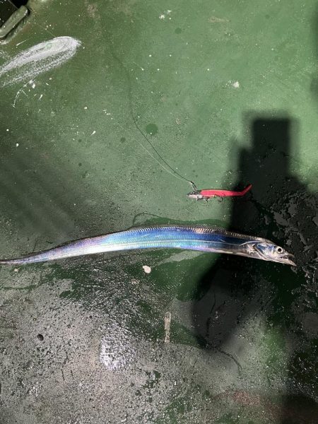 自作ルアーで太刀魚