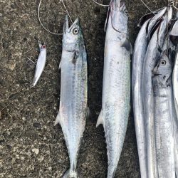 今、1番熱い場所w。