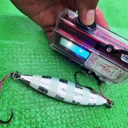 福島ヒラメジギング