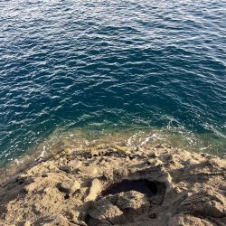 楽しませてもらいました