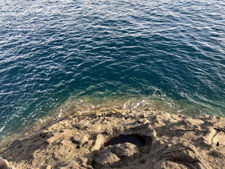 楽しませてもらいました