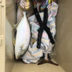 ライトショアジギング