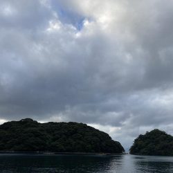 初日本海アジング