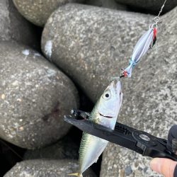 当たるって楽しい！