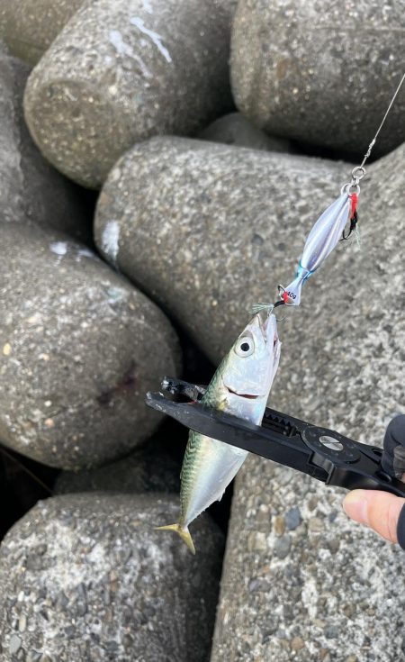 当たるって楽しい！